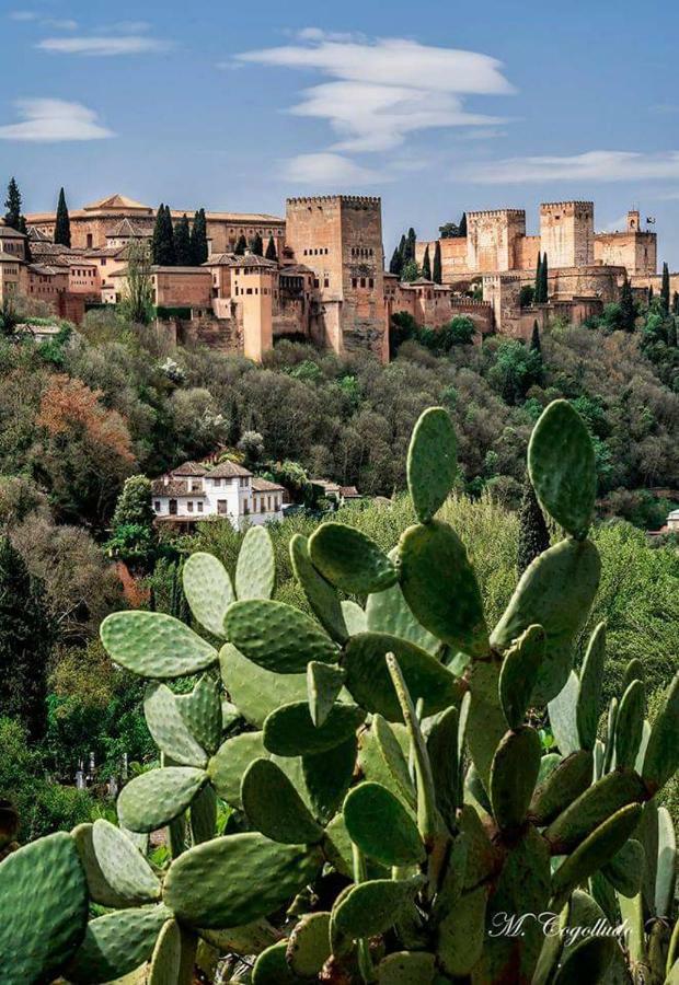 Apartamento Realejo Centro Ciudad Appartement Granada Buitenkant foto